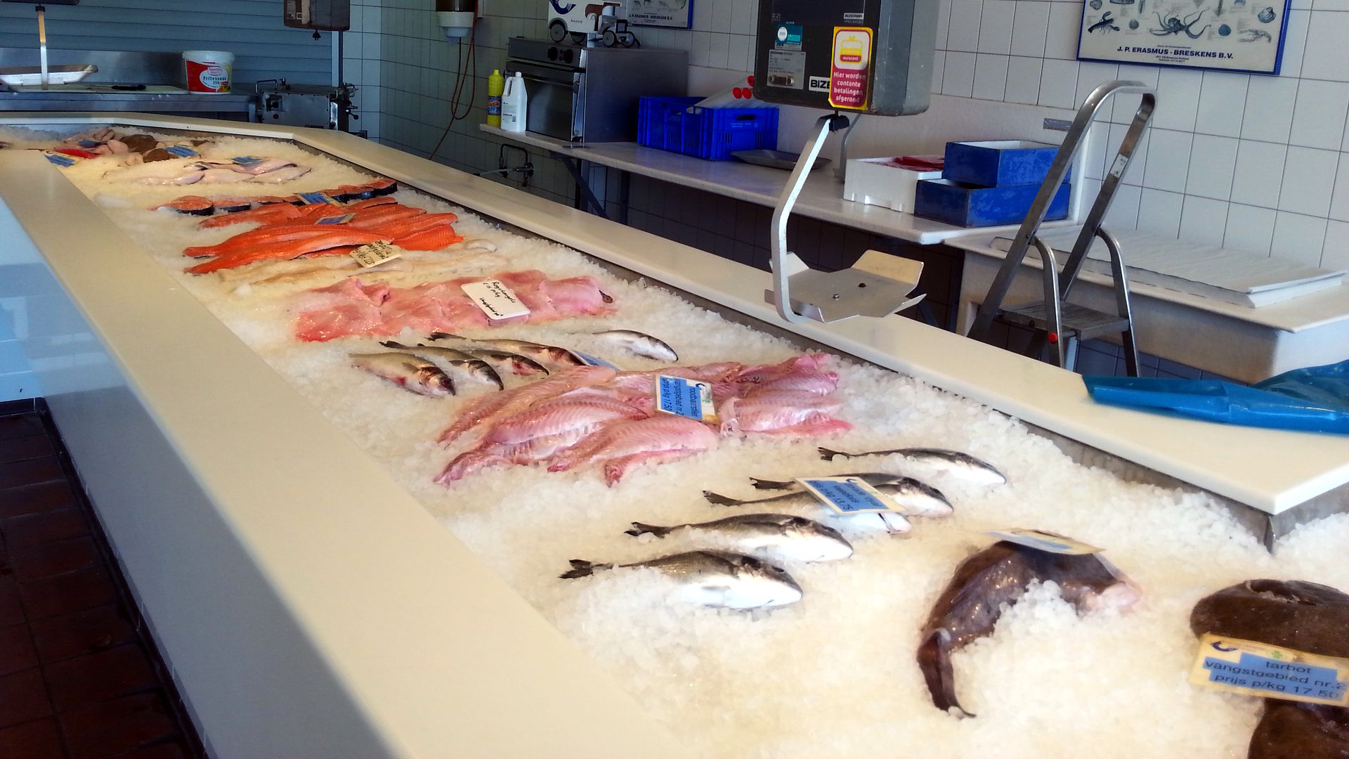 Fangfrischer Fisch im Hafen