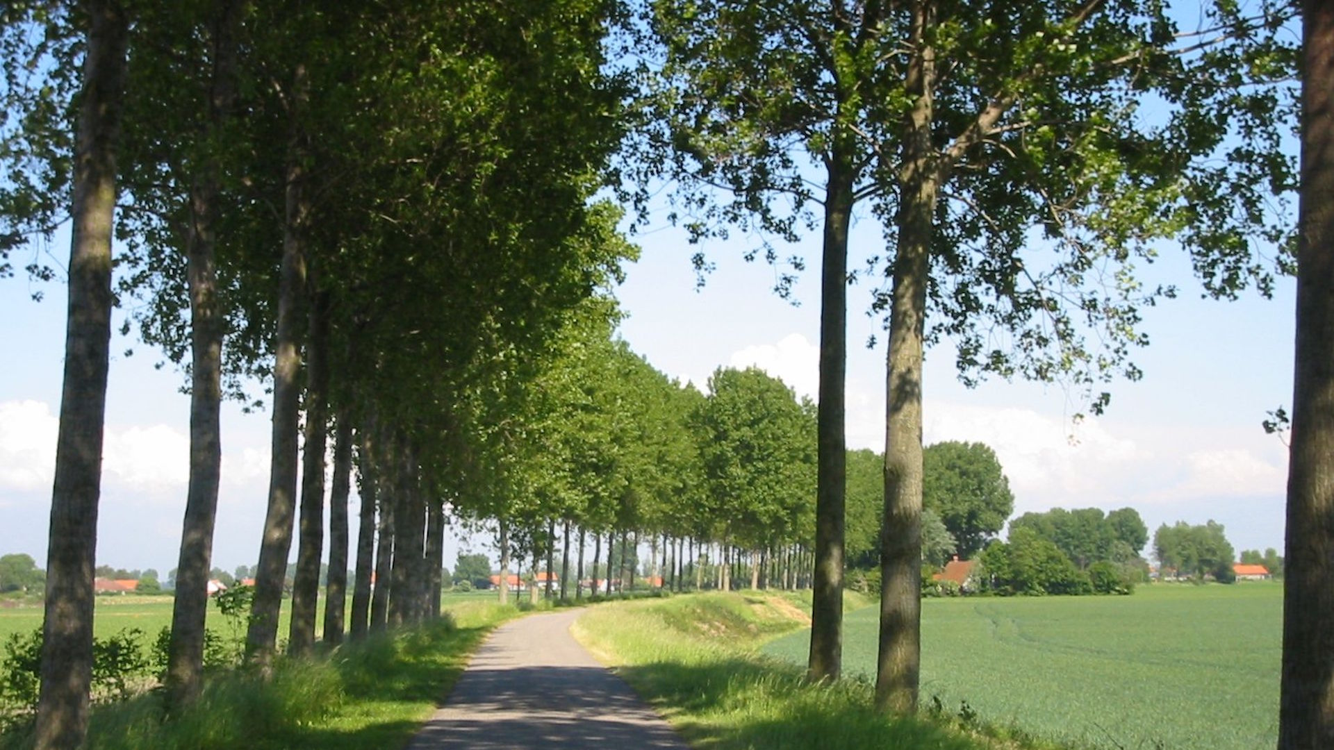 Eindrücke aus Flandern
