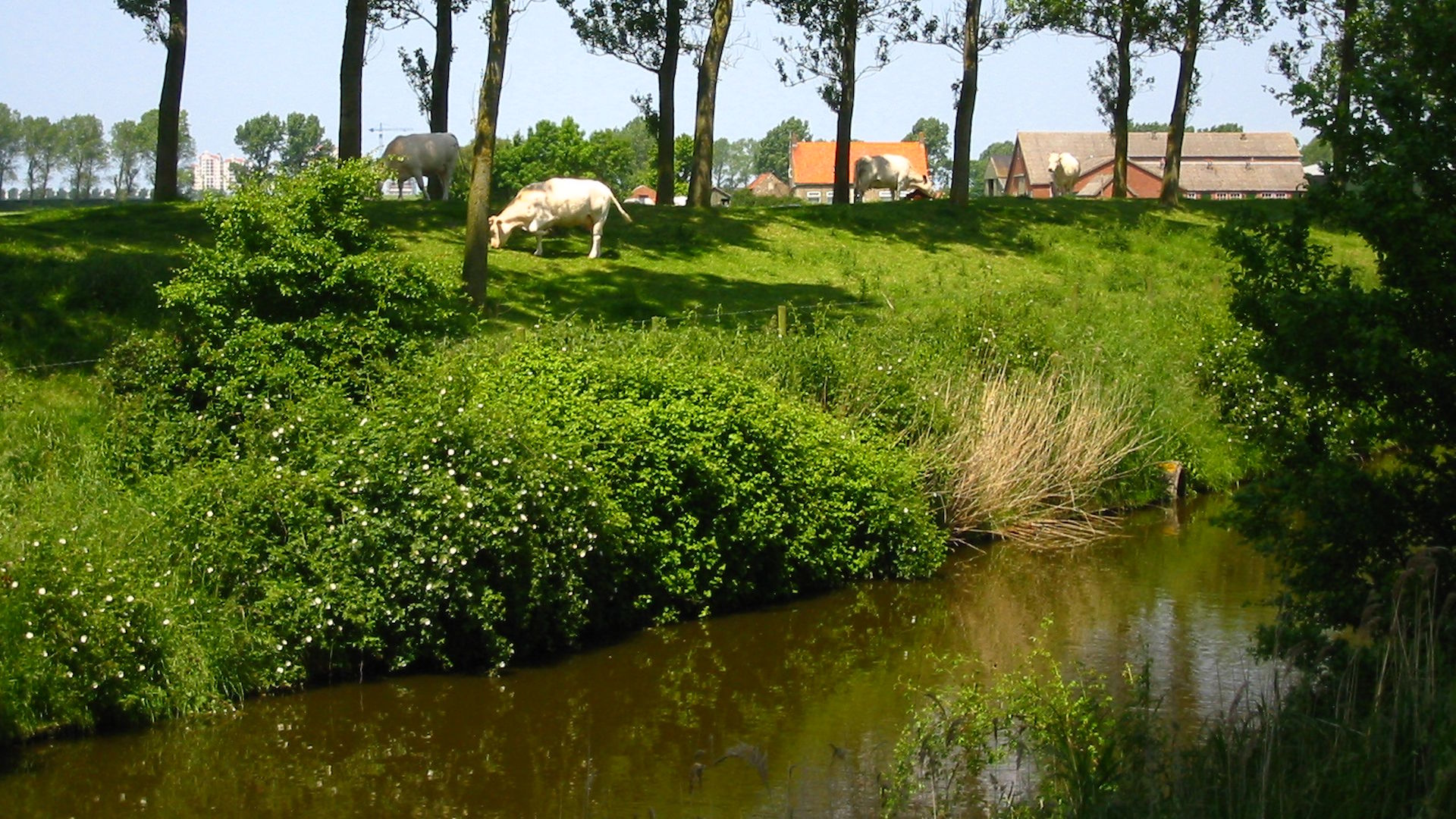 Eindrücke aus Flandern