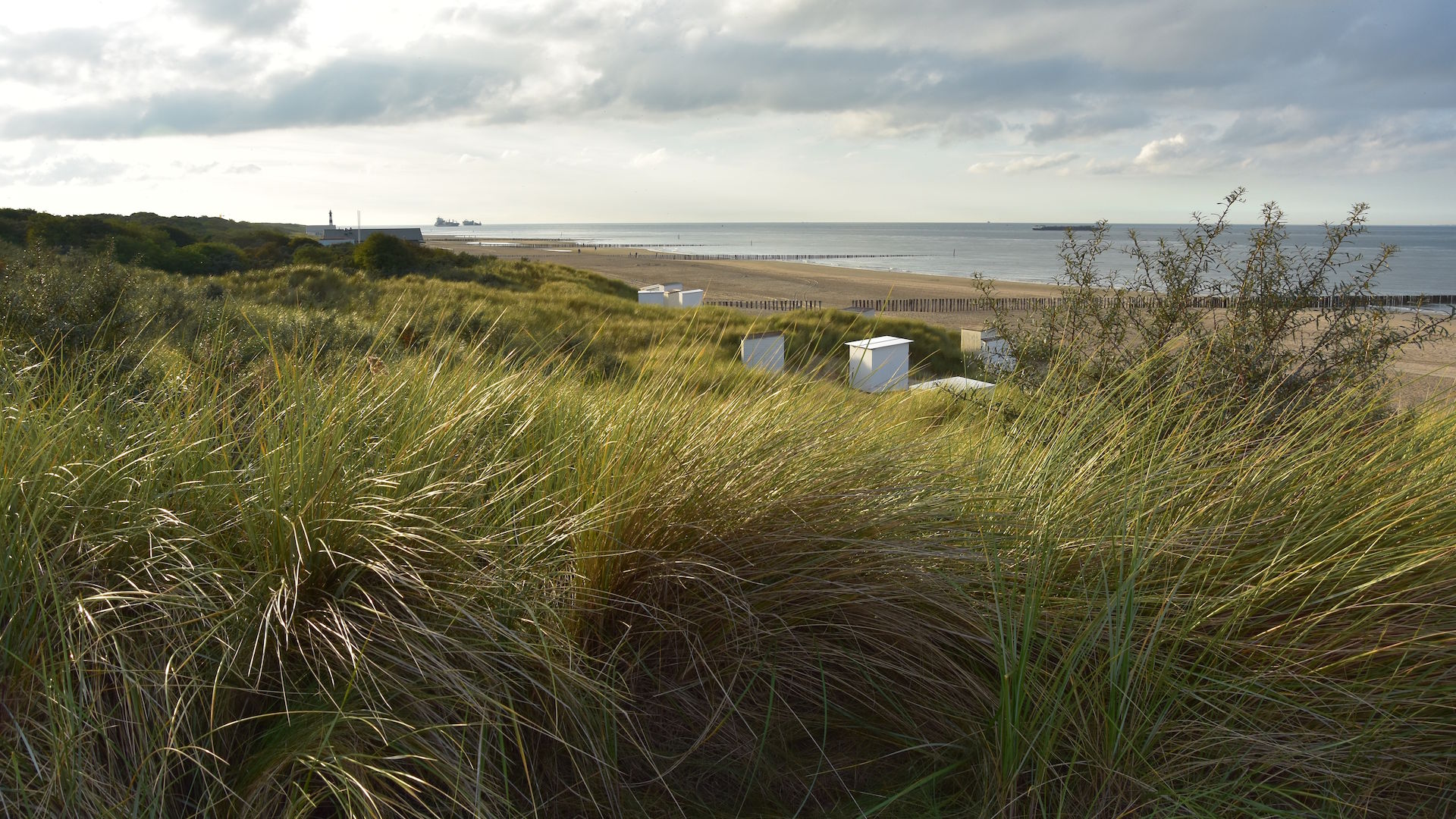 Strand bei Breskens