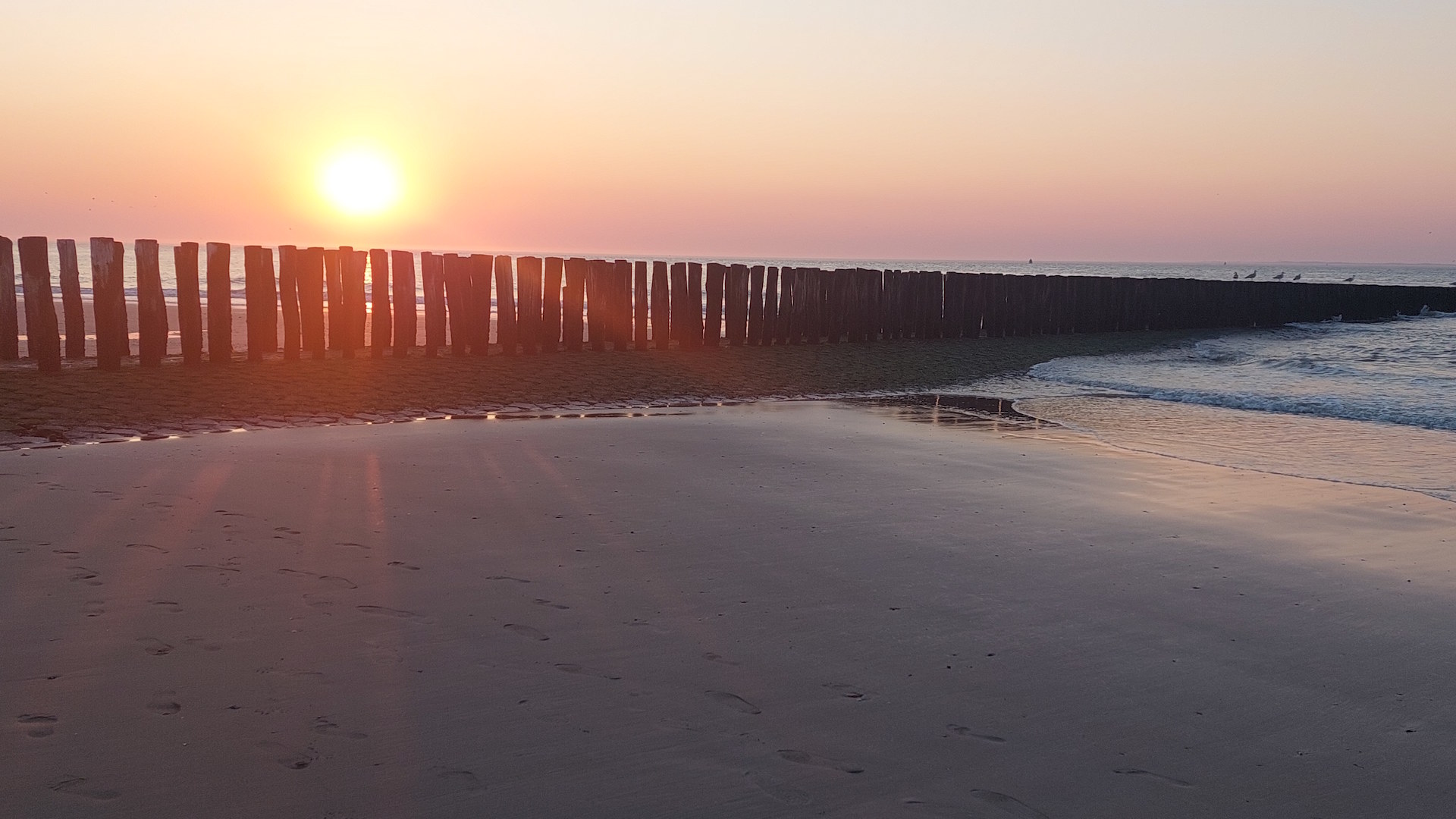 Strände zwischen Breskens und Cadzand